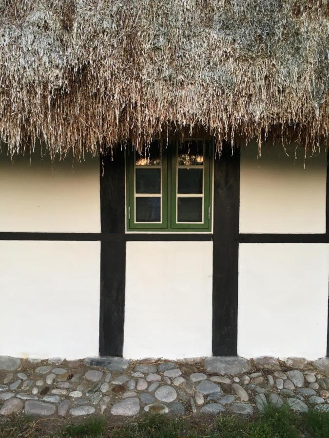 Tanggarden Skoven Bed & Breakfast Laeso ภายนอก รูปภาพ